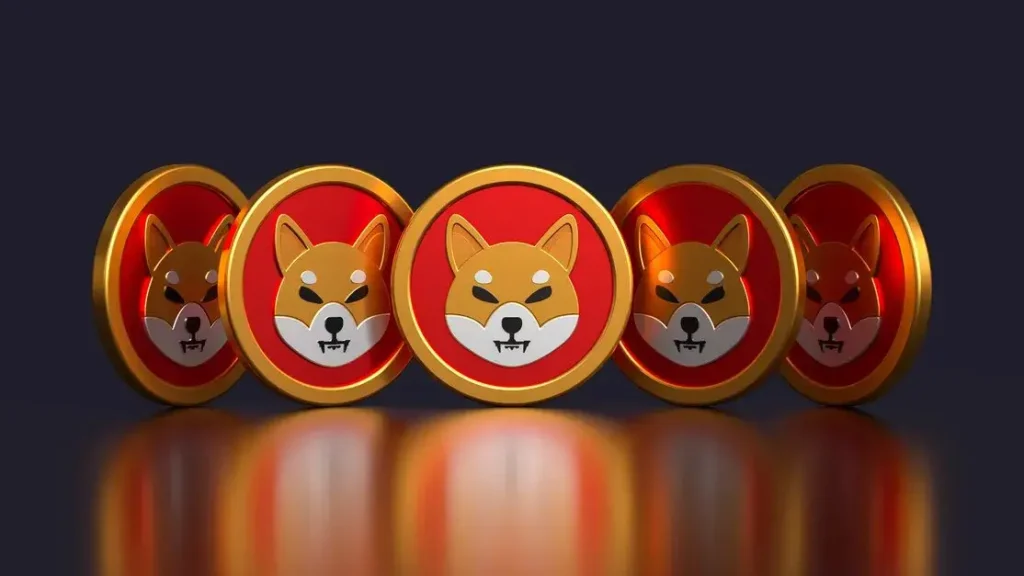 shiba